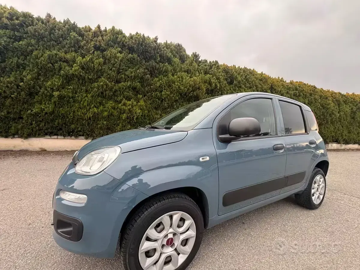 Usata Fiat Panda Pop 80 CV (58 kW) 2021 Grigio Utilitaria