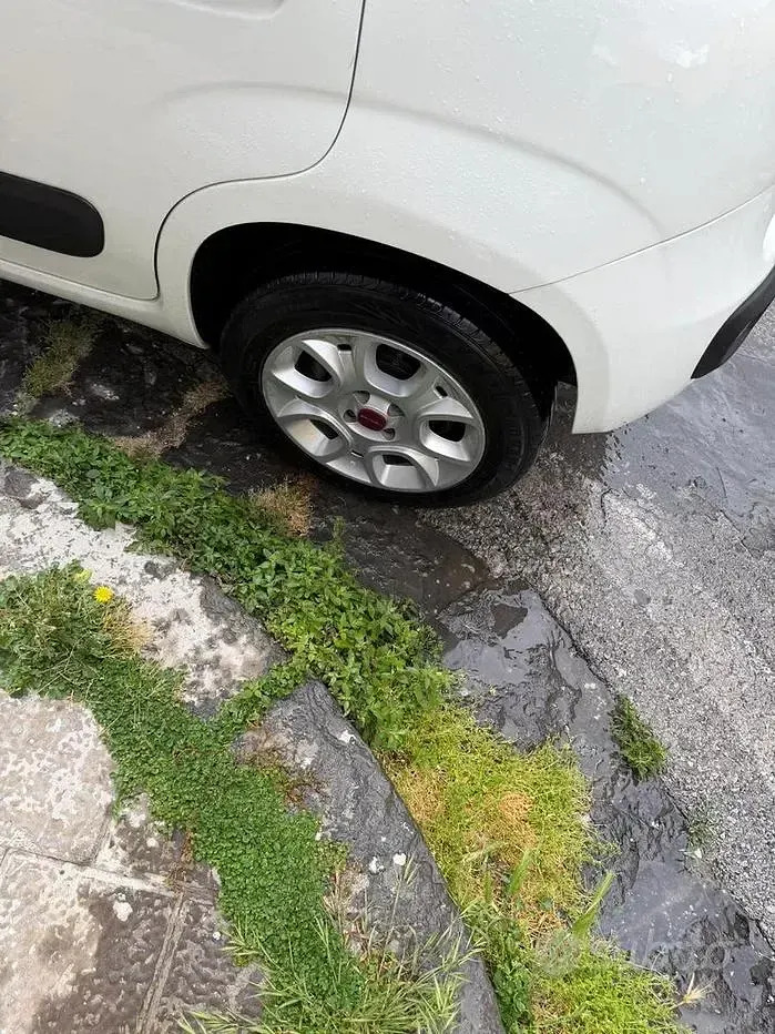 Usata Fiat Panda 85 CV (62 kW) 2013 Bianco Utilitaria