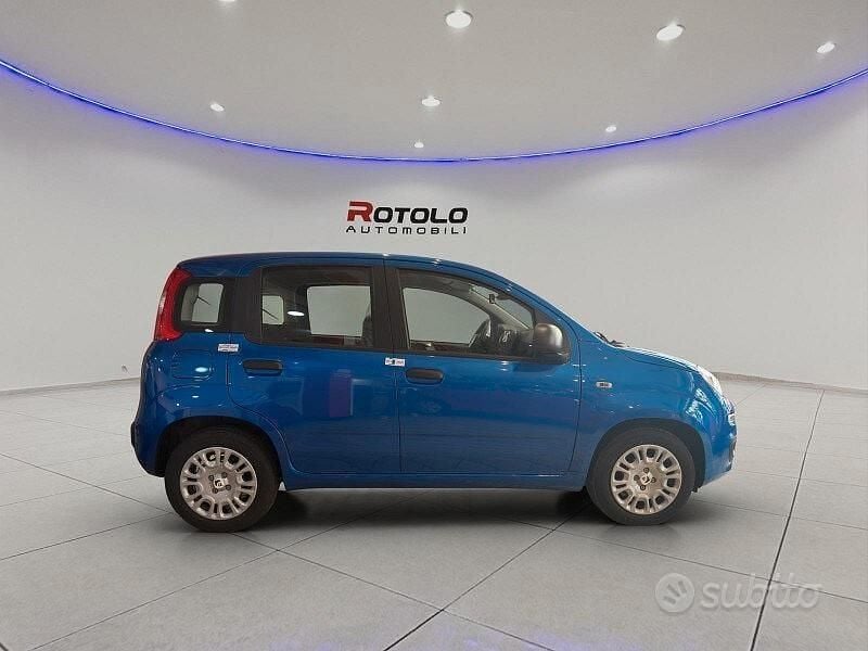 Nuova Fiat Panda Pop 70 CV (51 kW) 2025 Bianco Utilitaria