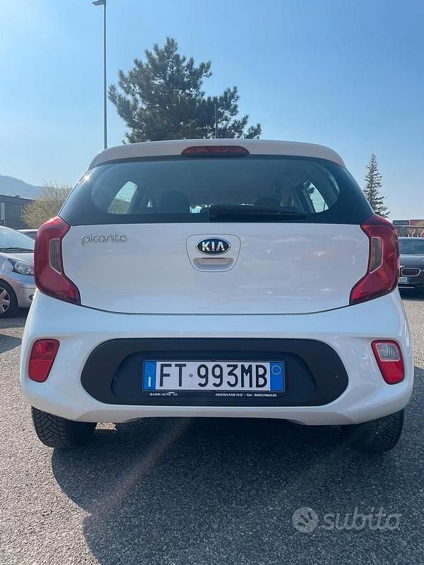 Gebraucht Kia Picanto 67 PS (49 kW) 2019 Weiß Kleinwagen