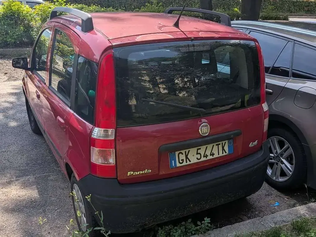 Usata Fiat Panda 54 CV (39 kW) 2009 Rosso Utilitaria