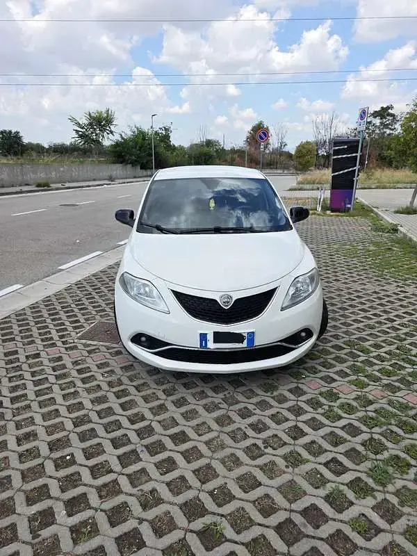 Usata Lancia Ypsilon Platinum 69 CV (50 kW) 2016 Bianco Utilitaria