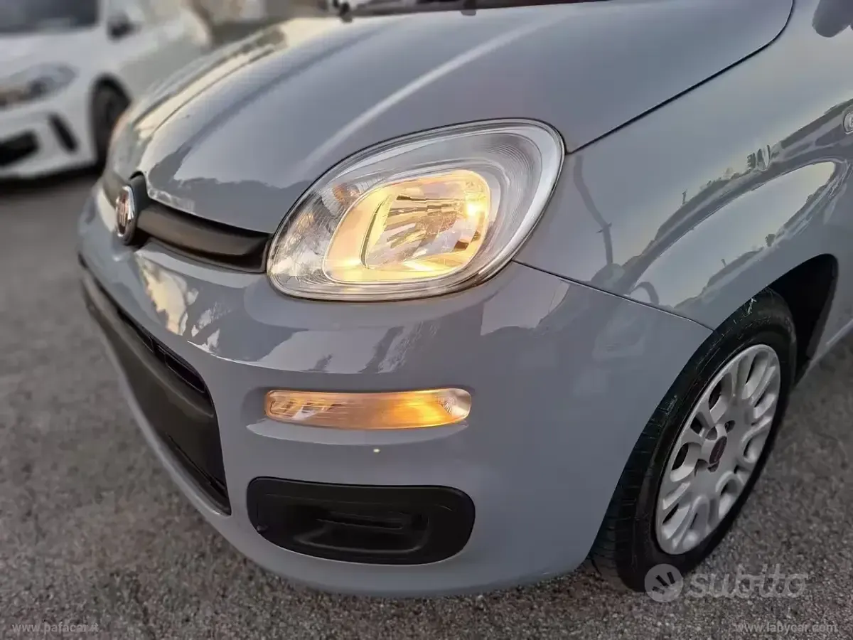 Usata Fiat Panda S 70 CV (51 kW) 2022 Grigio Utilitaria