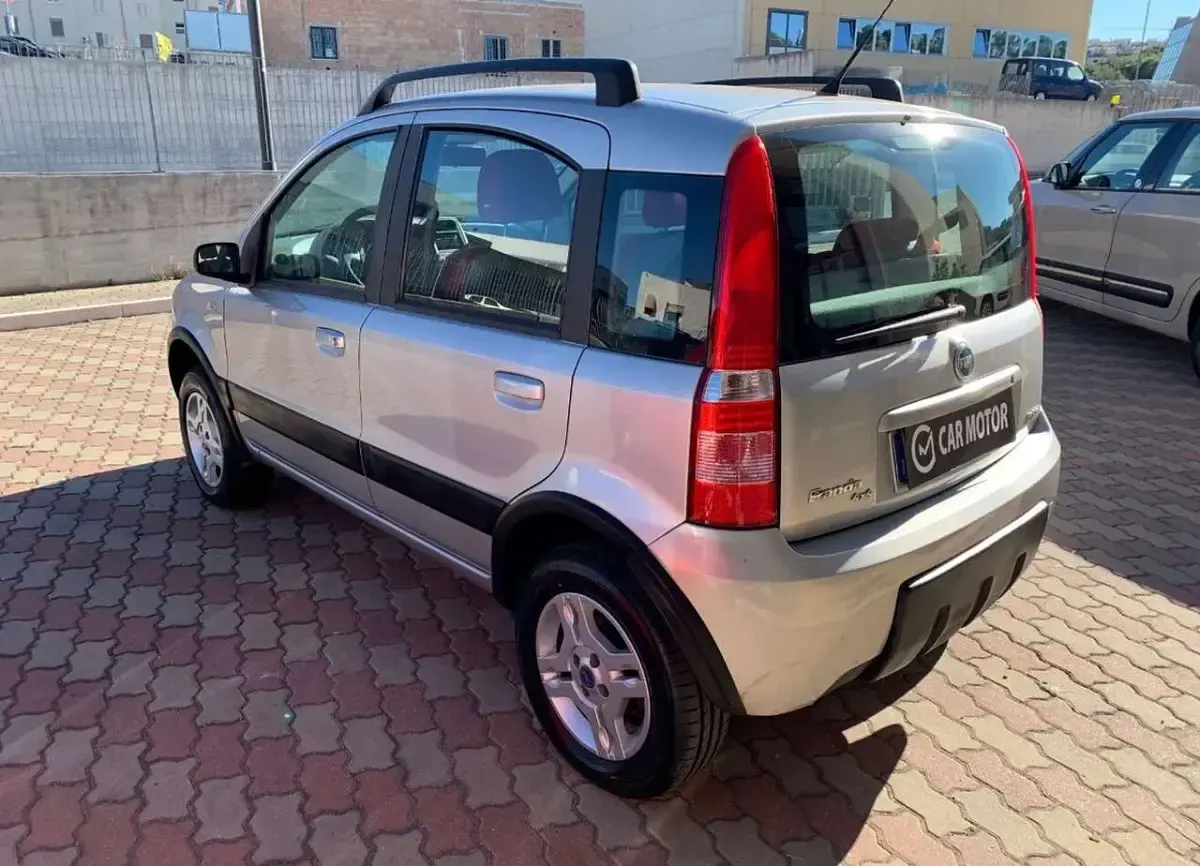 Usata Fiat Panda 4x4 Climbing 69 CV (50 kW) 2006 Grigio Utilitaria