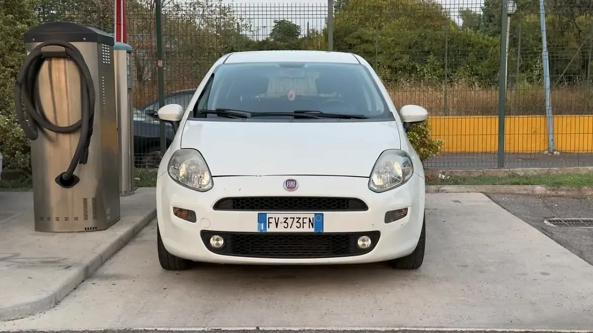 Usata Fiat Punto S 95 CV (69 kW) 2019 Bianco Furgone