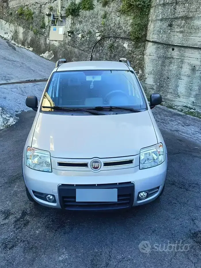 Usata Fiat Panda 4x4 69 CV (50 kW) 2011 Grigio Utilitaria