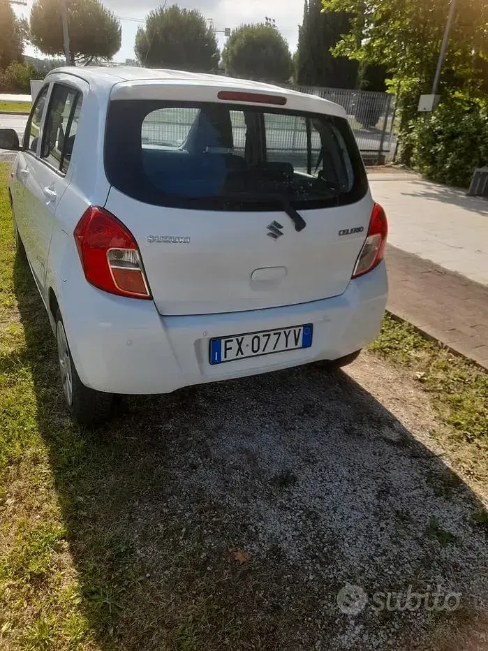 Usata Suzuki Celerio Cool 68 CV (50 kW) 2019 Bianco Utilitaria
