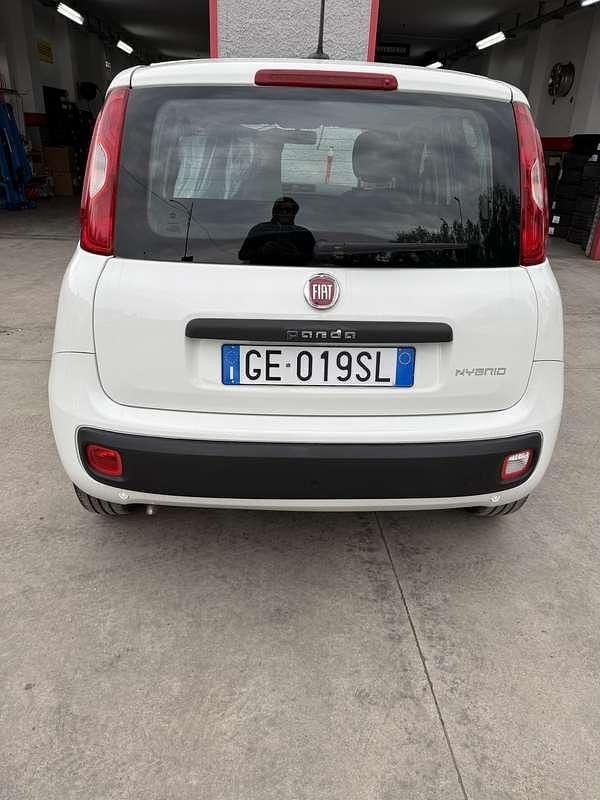 Usata Fiat Panda S 69 CV (50 kW) 2021 Utilitaria