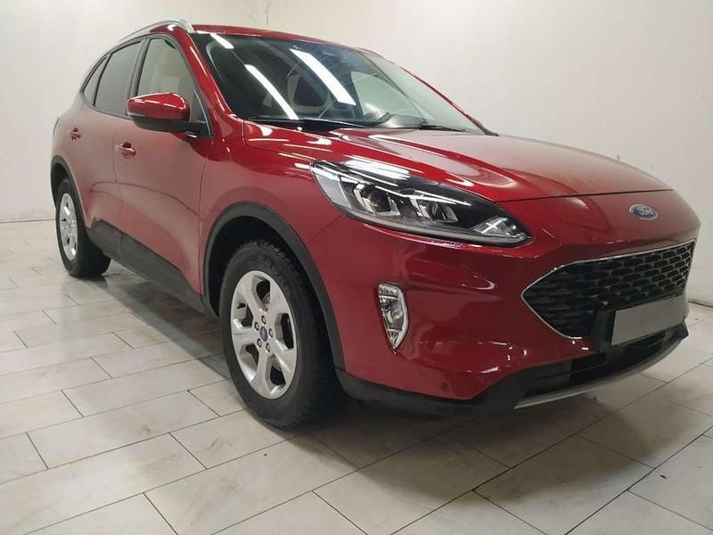 Usata Ford Kuga Business Edition 120 CV (88 kW) 2021 Rosso SUV