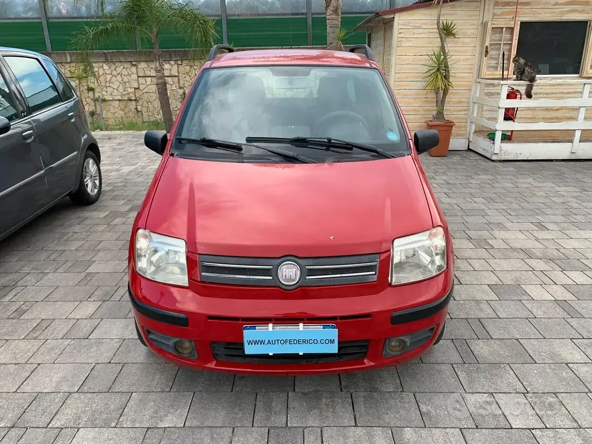 Usata Fiat Panda Dynamic 60 CV (44 kW) 2009 Rosso Utilitaria