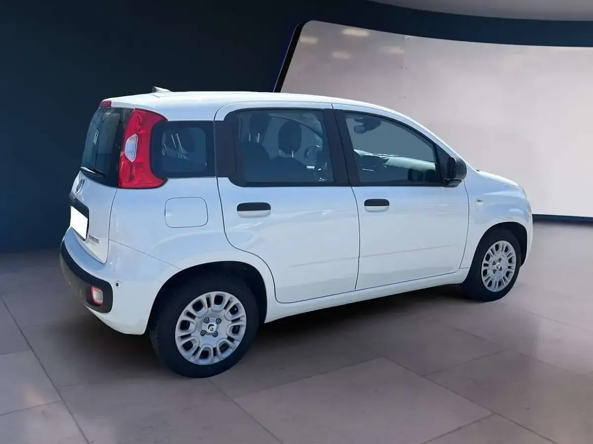 Usata Fiat Panda 69 CV (50 kW) 2025 Bianco Utilitaria