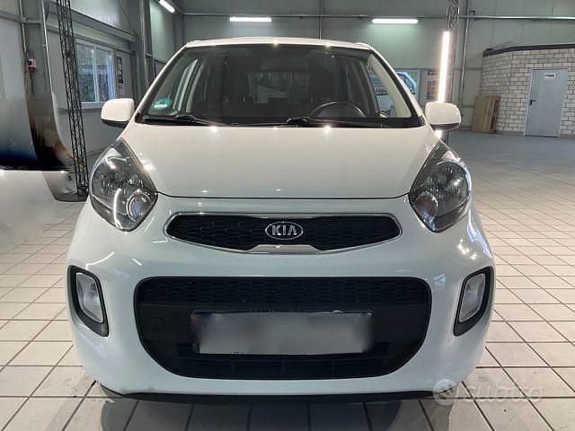 Usata Kia Picanto 67 CV (49 kW) 2015 Bianco Utilitaria