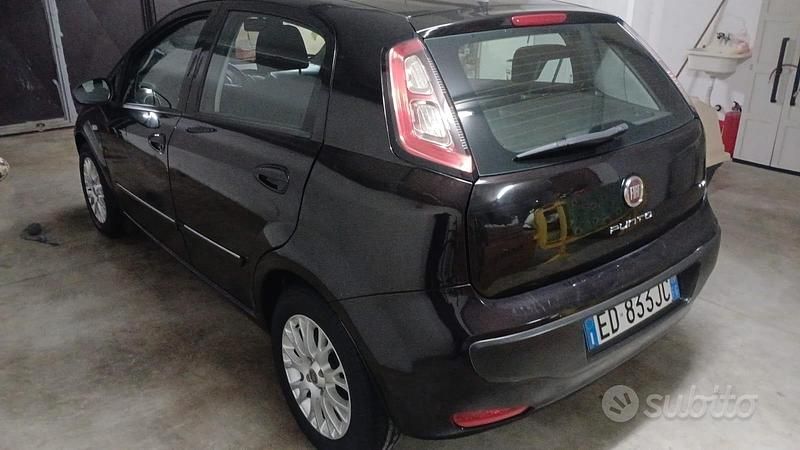 Usata Fiat Punto Evo 95 CV (69 kW) 2012 Nero Utilitaria