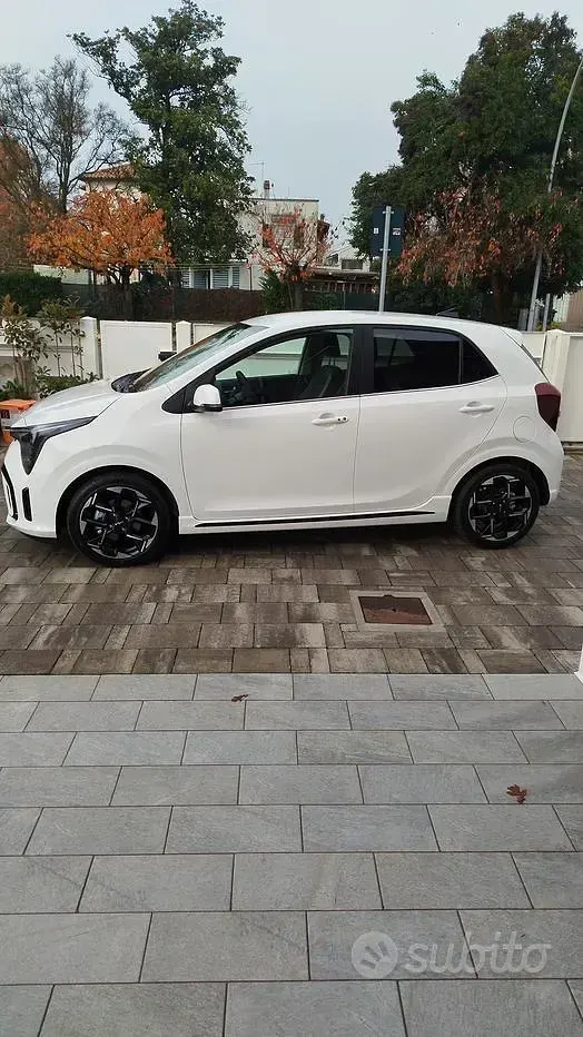 Usata Kia Picanto 63 CV (46 kW) 2024 Bianco Utilitaria