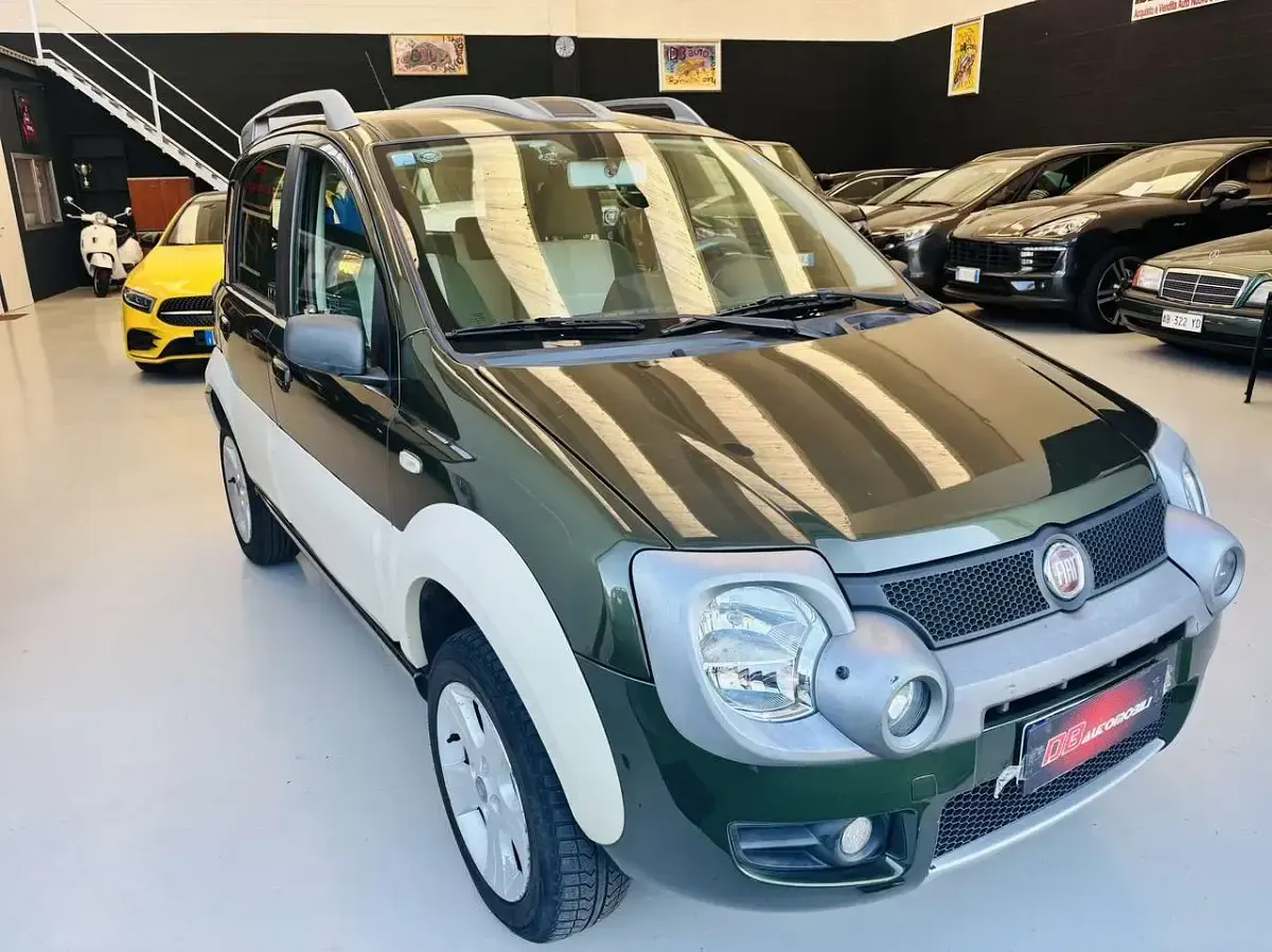 Usata Fiat Panda 4x4 Cross 69 CV (50 kW) 2008 Verde Utilitaria