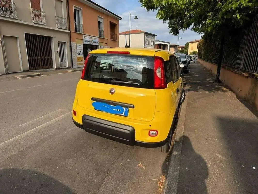 Usata Fiat Panda S 69 CV (50 kW) 2024 Giallo Utilitaria