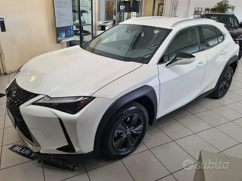 Usata Lexus UX 152 CV (111 kW) 2024 Bianco SUV