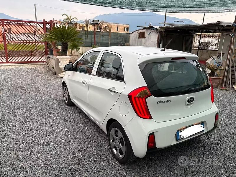 Usata Kia Picanto 68 CV (50 kW) 2016 Bianco Utilitaria
