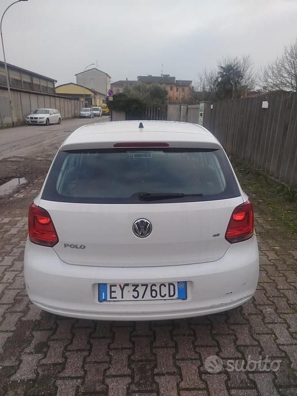 Usata VW Polo Comfortline 70 CV (51 kW) 2014 Bianco Utilitaria