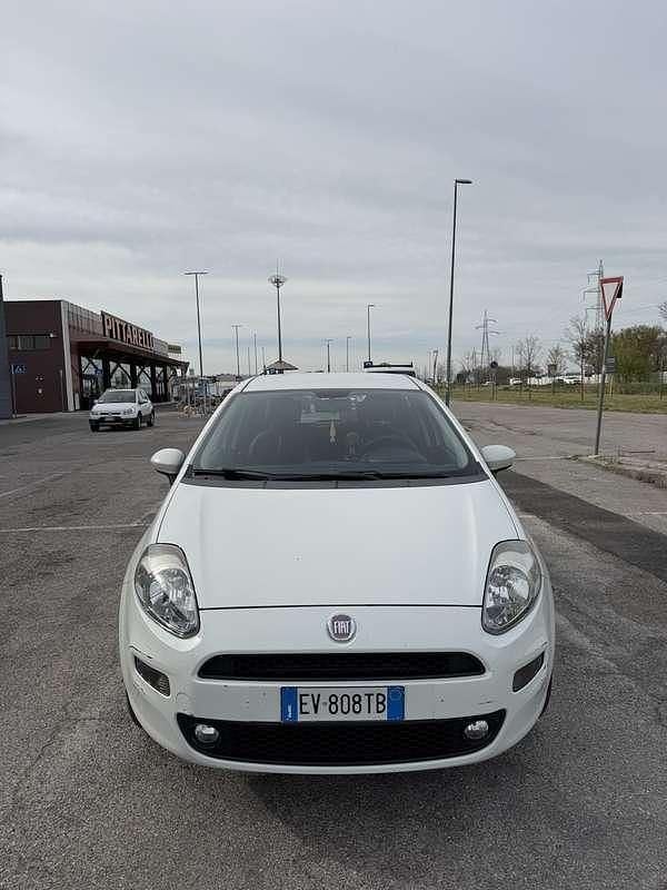 Usata Fiat Punto Active 60 CV (44 kW) 2014 Utilitaria
