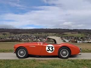 Usata Austin Healey 100 90 CV (66 kW) 1955 Rosso Cabrio