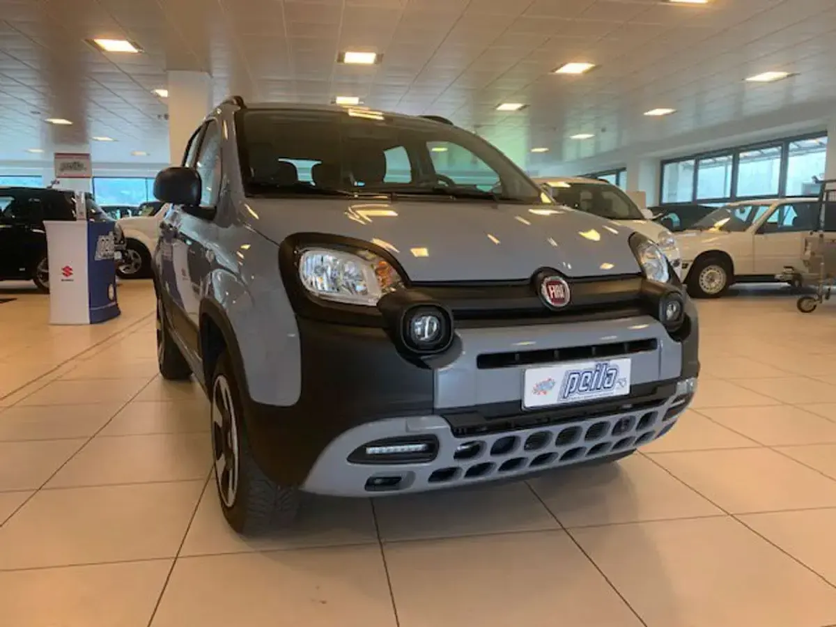 Usata Fiat Panda Cross Cross 86 CV (63 kW) 2021 Grigio Utilitaria