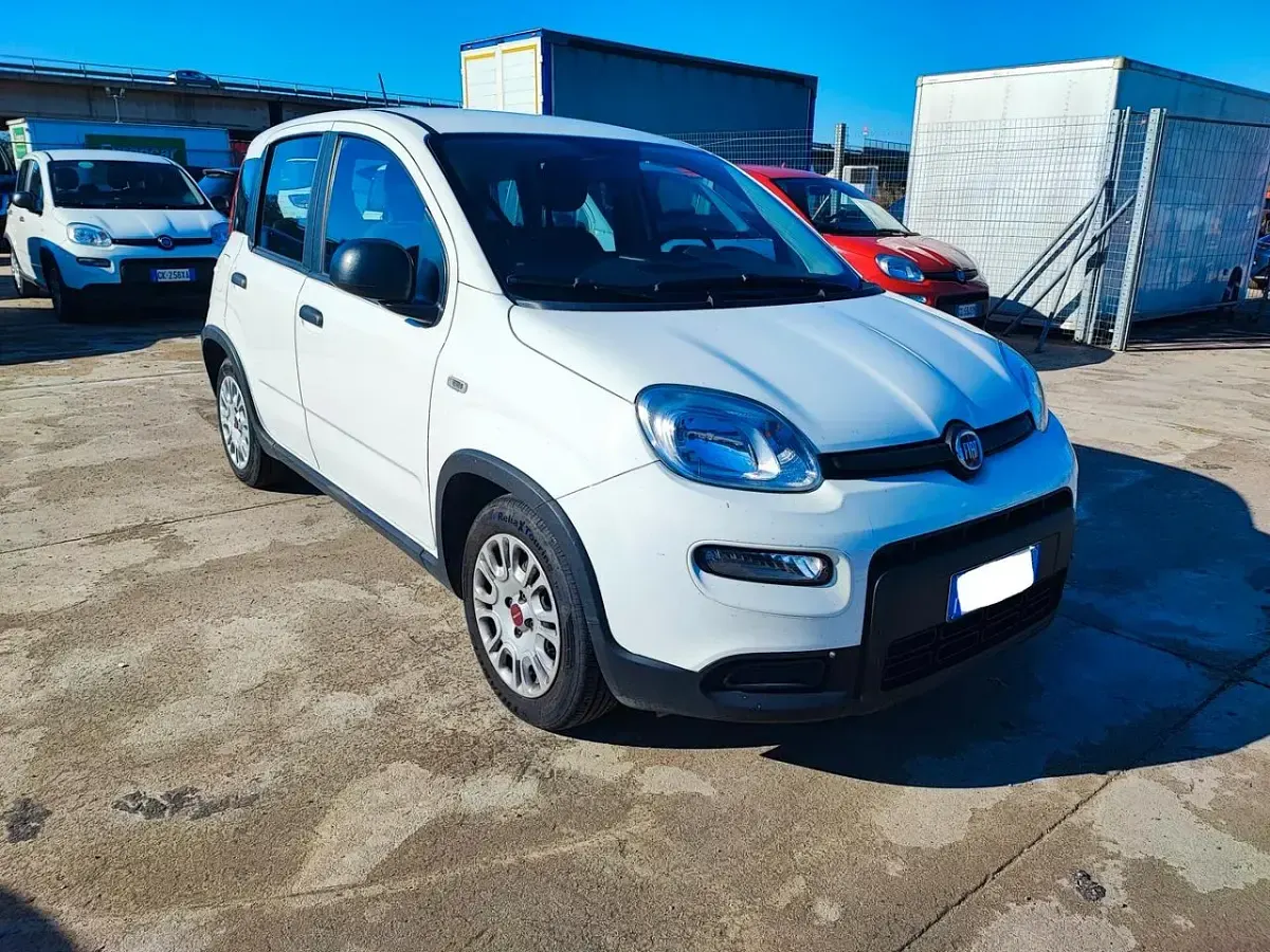 Usata Fiat Panda S 69 CV (50 kW) 2023 Bianco Utilitaria