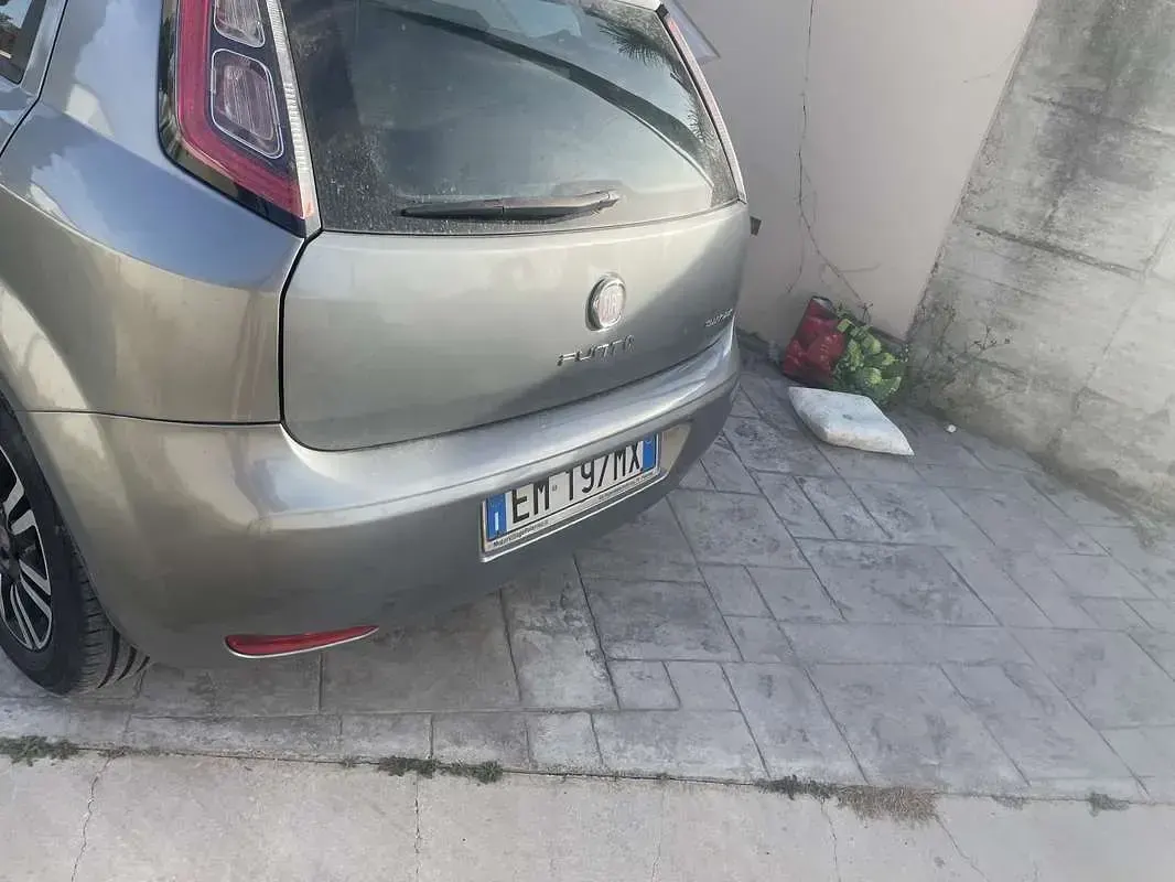 Usata Fiat Punto S 84 CV (61 kW) 2012 Utilitaria