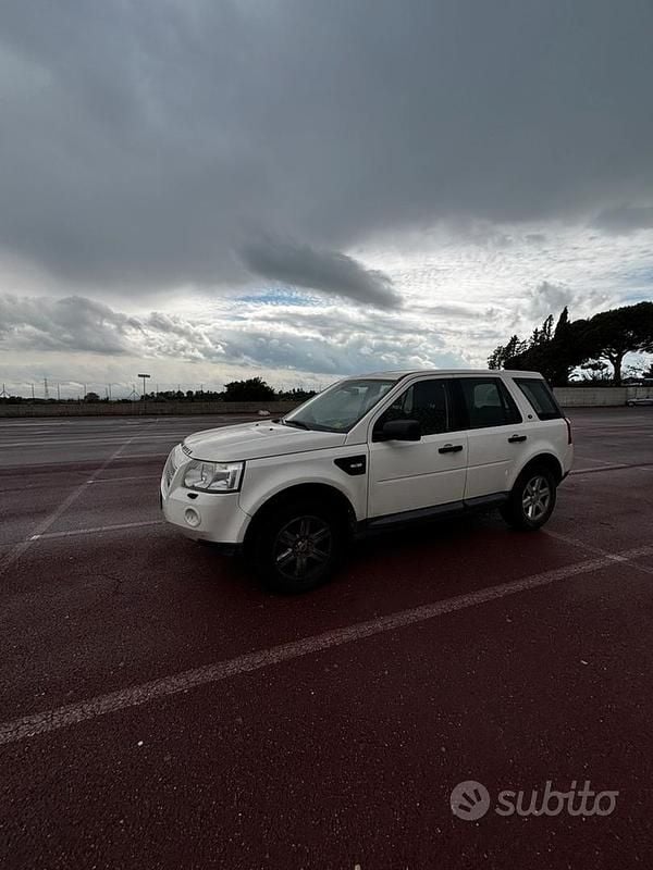 Usata Land Rover Freelander 2 190 CV (139 kW) 2010 Bianco SUV