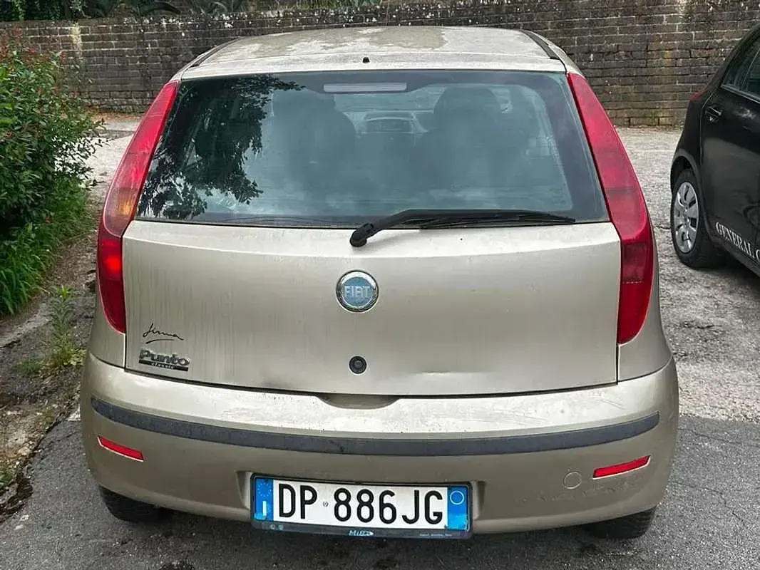 Usata Fiat Punto Dynamic 60 CV (44 kW) 2008 Oro Utilitaria