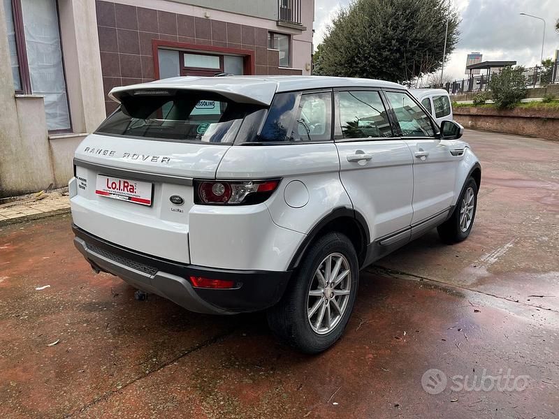 Usata Land Rover Range Rover evoque 150 CV (110 kW) 2014 Bianco SUV