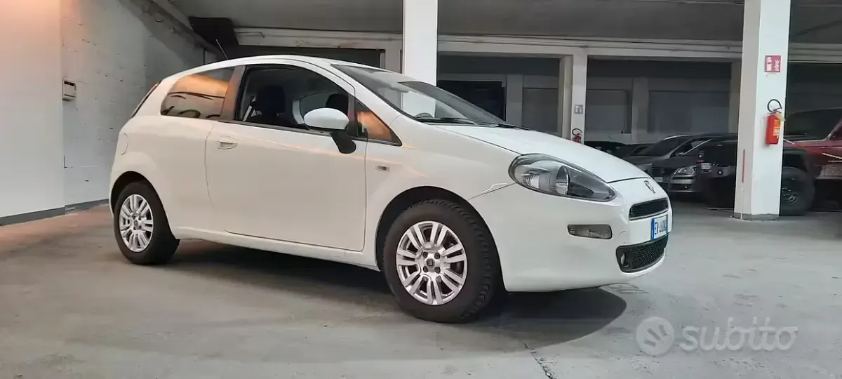 Usata Fiat Punto Lounge 69 CV (50 kW) 2014 Bianco Utilitaria