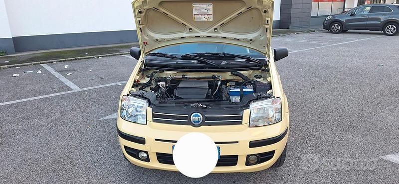 Usata Fiat Panda 2007 Giallo Utilitaria