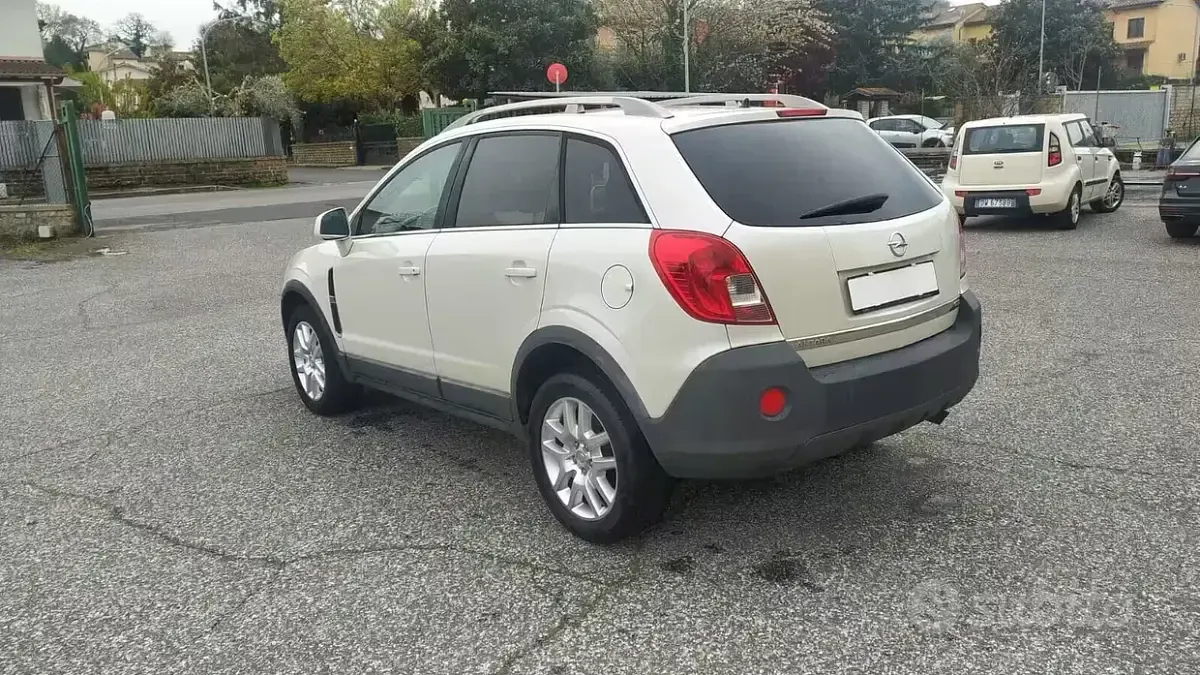 Usata Opel Antara Cosmo 163 CV (119 kW) 2013 Bianco SUV