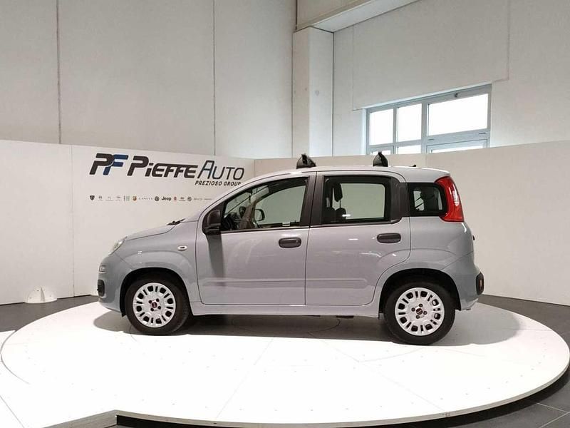 Usata Fiat Panda S 70 CV (51 kW) 2021 Grigio Utilitaria