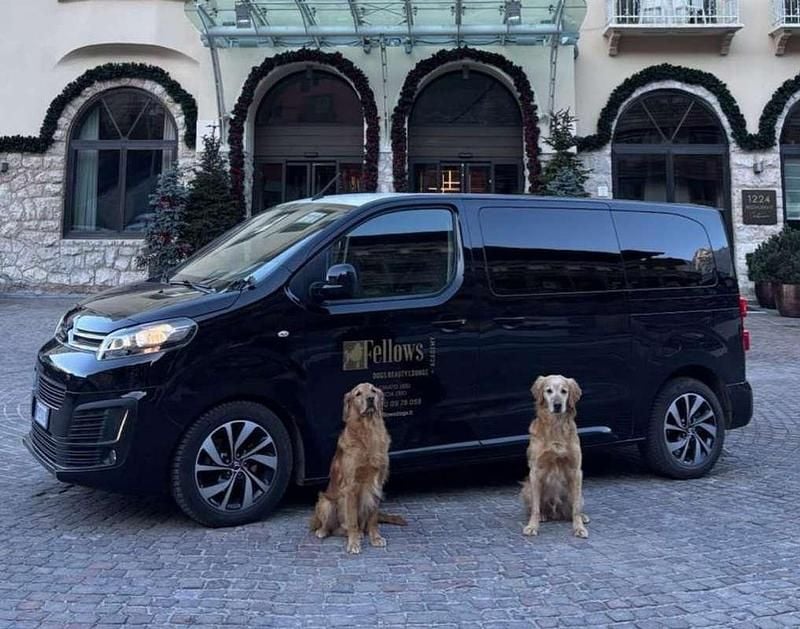 Usata Citroën Spacetourer 150 CV (110 kW) 2018 Nero Monovolume