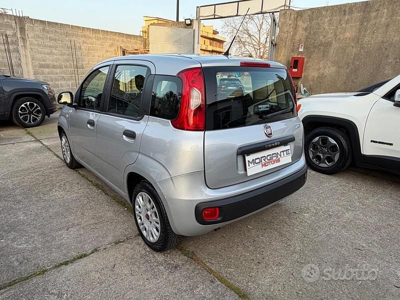 Usata Fiat Panda Easy 95 CV (69 kW) 2017 Grigio Utilitaria