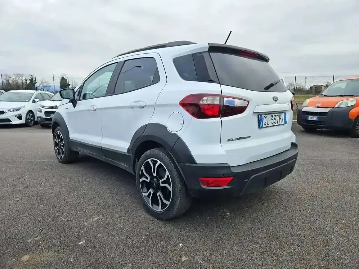 Usata Ford Ecosport Active 125 CV (91 kW) 2022 Bianco SUV