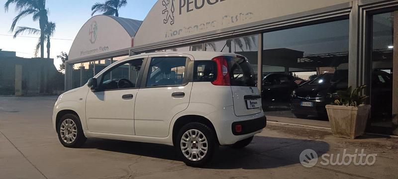 Usata Fiat Panda Easy 69 CV (50 kW) 2019 Bianco Berlina
