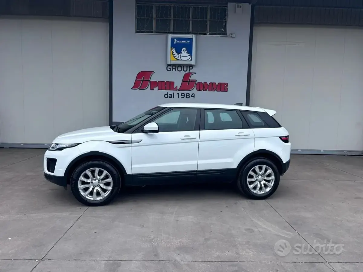 Usata Land Rover Range Rover evoque SE Dynamic 150 CV (110 kW) 2018 Bianco SUV