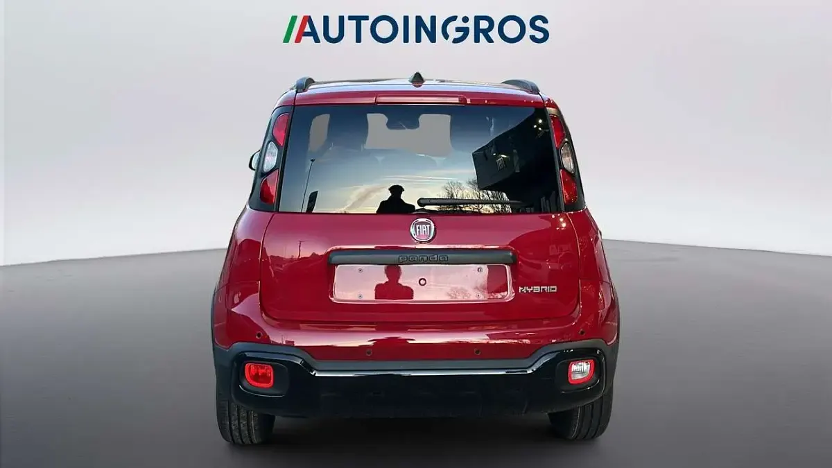 Nuevo Fiat Panda Cross Cross 69 CV (50 kW) 2025 Rojo Utilitario