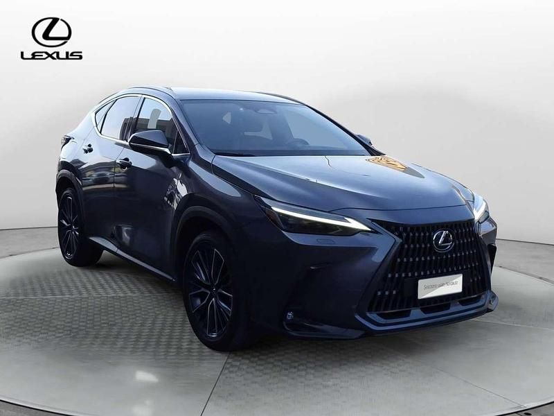 Usata Lexus NX300 Luxury Line 309 CV (227 kW) 2023 Grigio SUV