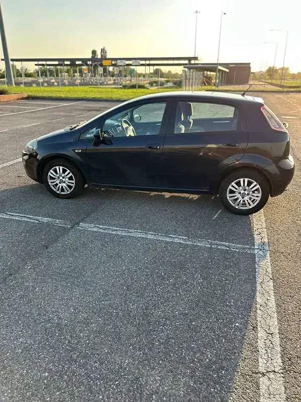 Usata Fiat Punto Lounge 84 CV (61 kW) 2015 Utilitaria