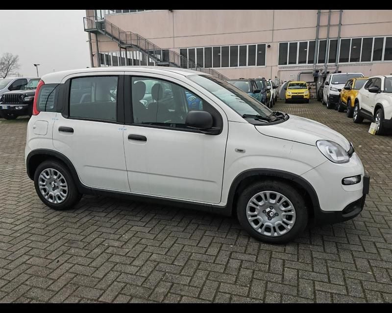 Usata Fiat Panda S 69 CV (50 kW) 2024 Bianco Utilitaria
