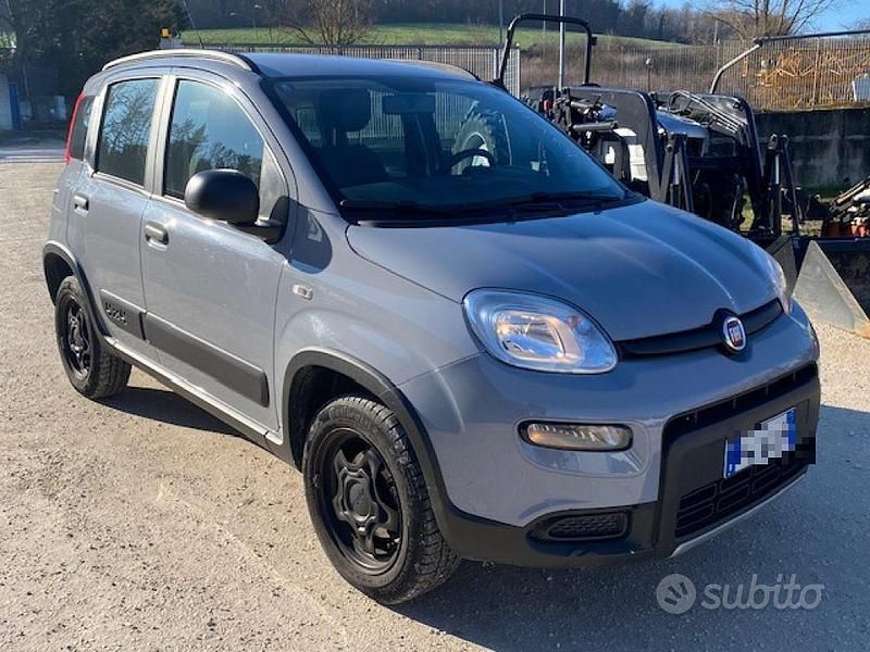 Usata Fiat Panda 4x4 2019 Grigio Utilitaria