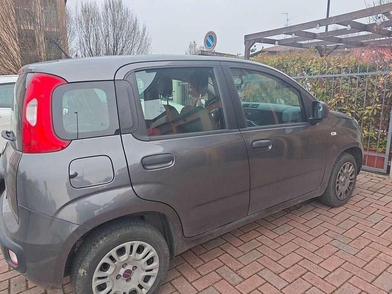 Usata Fiat Panda Pop 69 CV (50 kW) 2019 Grigio Utilitaria