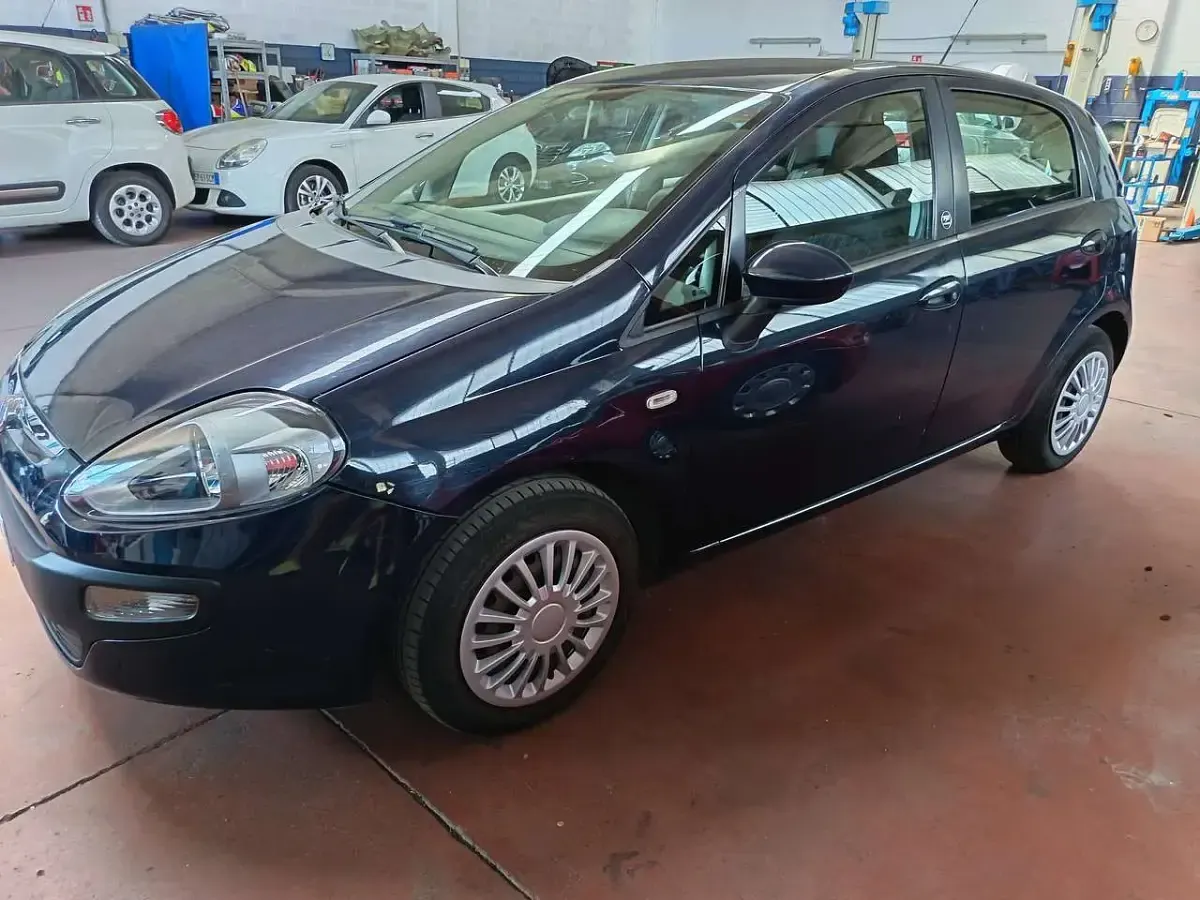 Usata Fiat Punto Evo S 69 CV (50 kW) 2011 Blu/azzurro Utilitaria