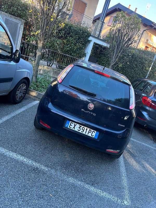 Usata Fiat Punto Young 77 CV (56 kW) 2014 Utilitaria
