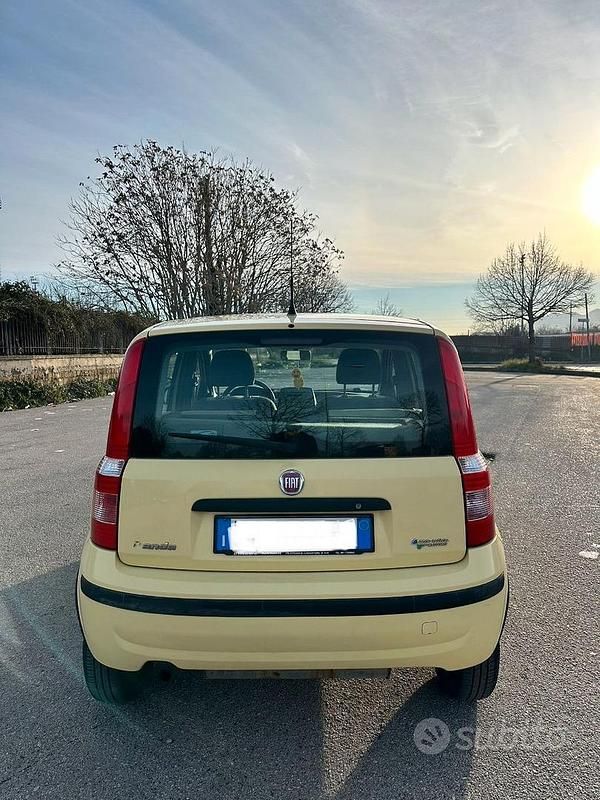 Usata Fiat Panda Dynamic 2010 Giallo Utilitaria