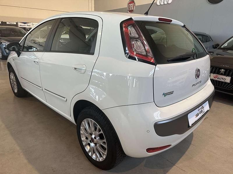Usata Fiat Punto Evo 69 CV (50 kW) 2009 Bianco Utilitaria